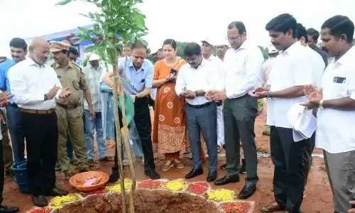 District collector MN Harendhira Prasad, GVMC commissioner P Sampath Kumar, among others, at the tree plantation drive on AU campus in Visakhapatnam on Friday