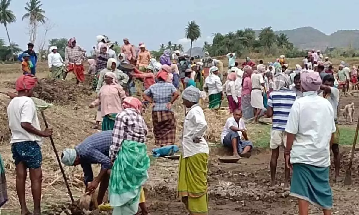 Daily wage labourers involved in MGNREGS works in Santhabommali mandal in Srikakulam district