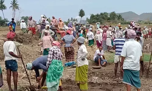 Daily wage labourers involved in MGNREGS works in Santhabommali mandal in Srikakulam district