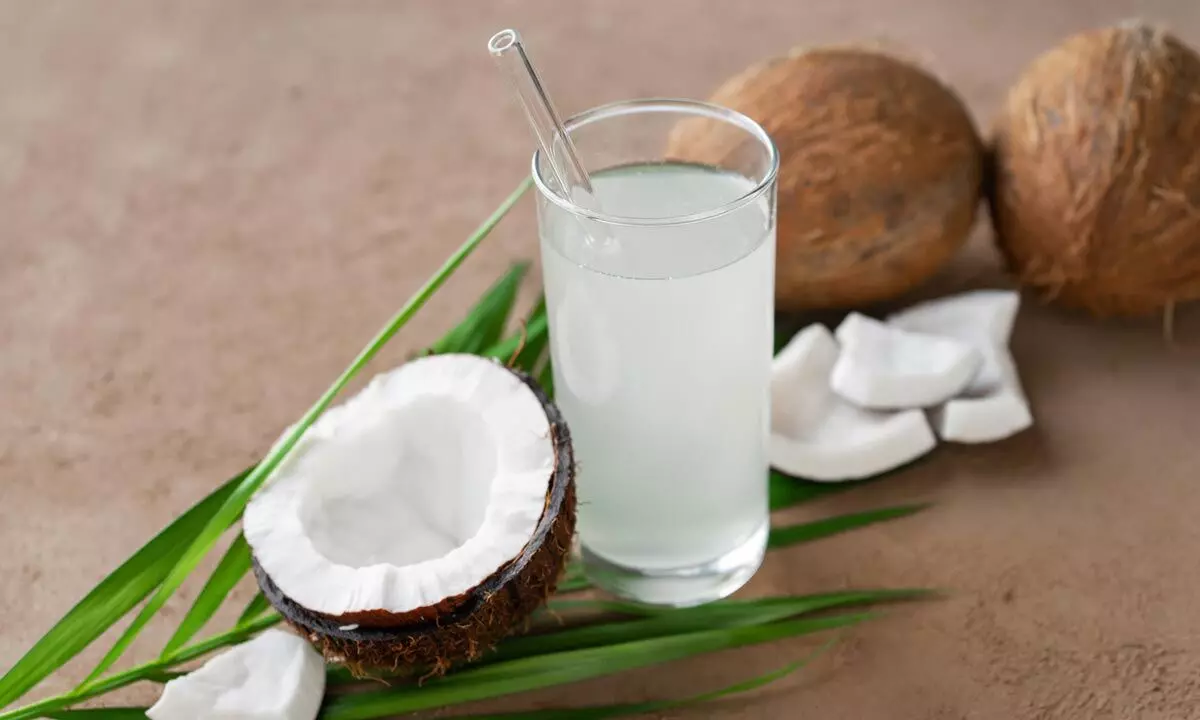 World Coconut Day 2024: Unveiling the Health Benefits of Coconut and Simple Ways to Incorporate It into Your Diet