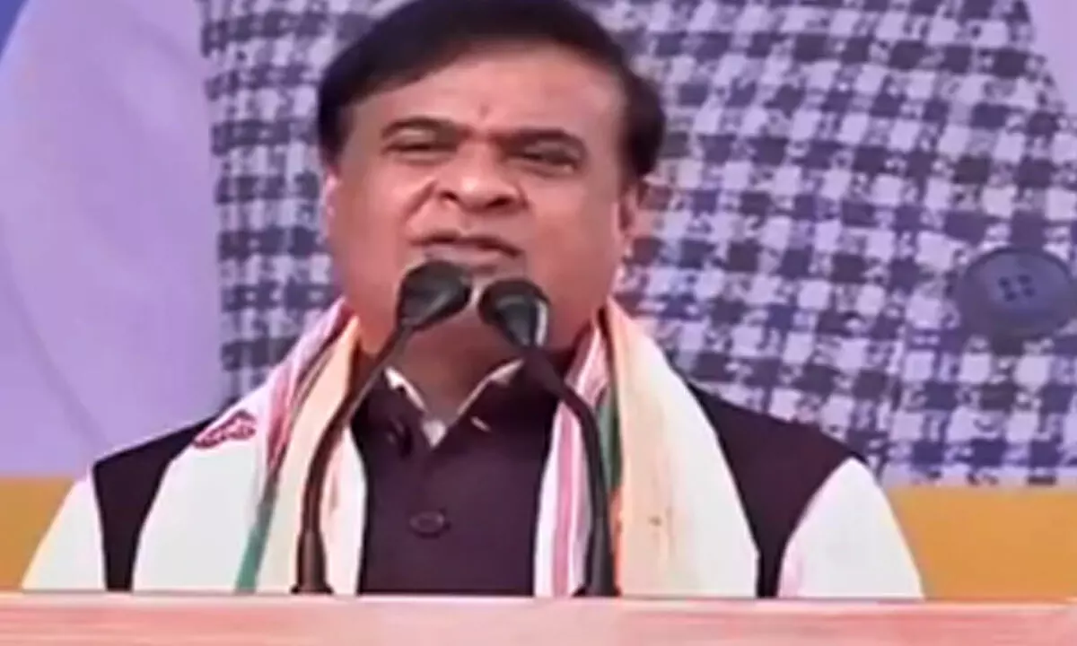 BJP will never go into hands of one family: Himanta Biswa Sarma