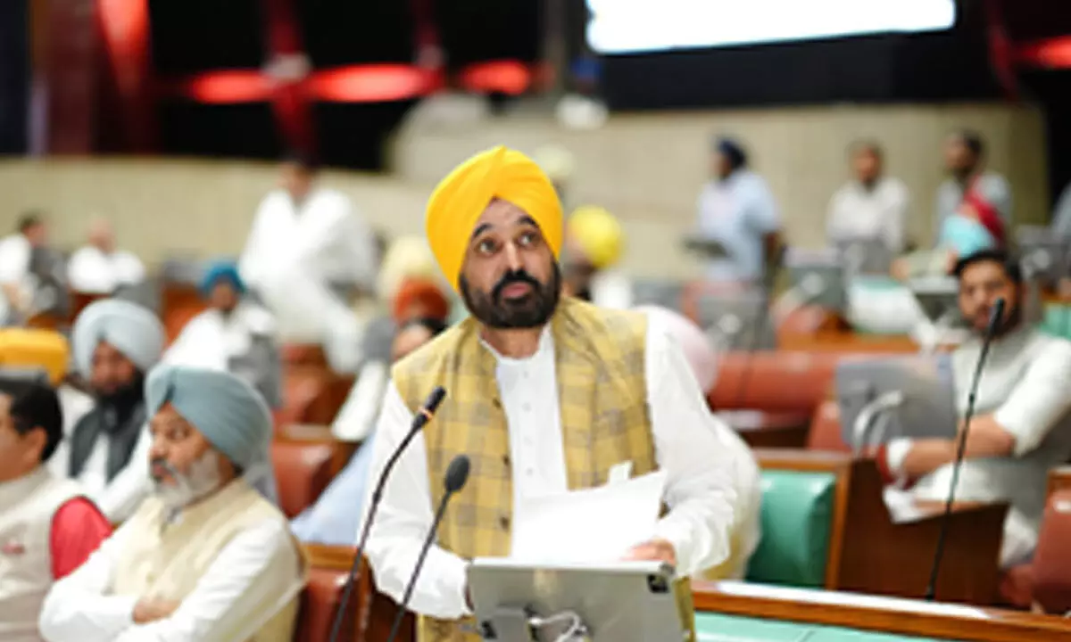 Punjab passes Bill to register plots in illegal colonies sans NOC