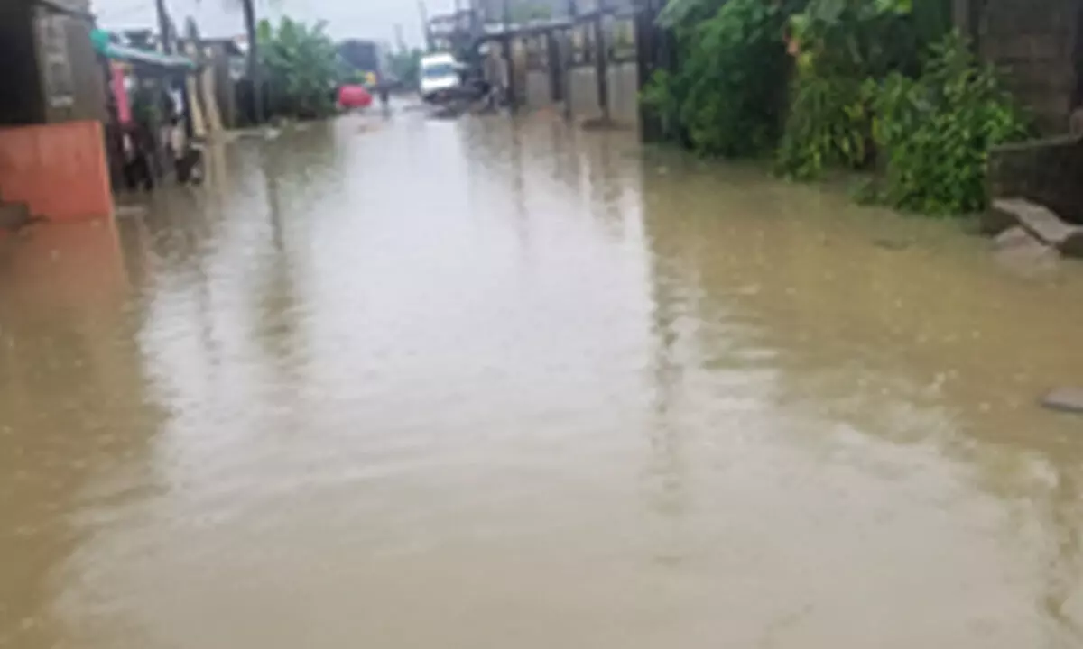 Floods kill eight, displace 60,000 in Cameroons Far North region