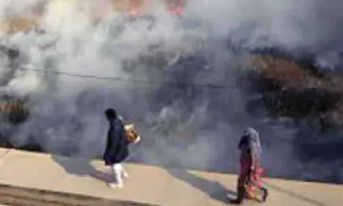 ‘Set up panel to tackle air pollution in Indo-Gangetic plains’