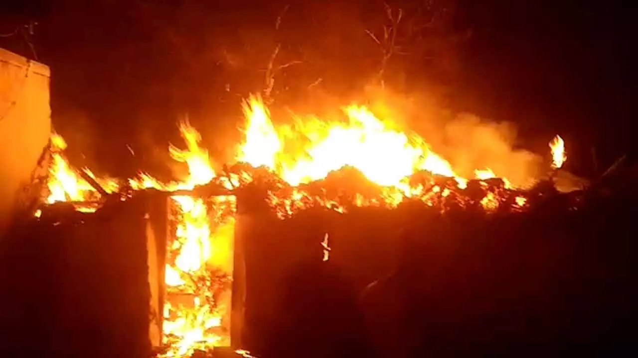 86 sheep die as thatched shed catches fire