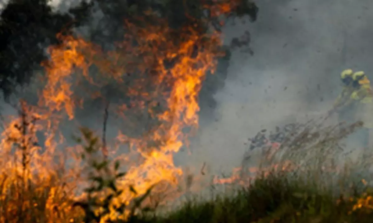 Authorities warn of likely early start to Australian bushfire season