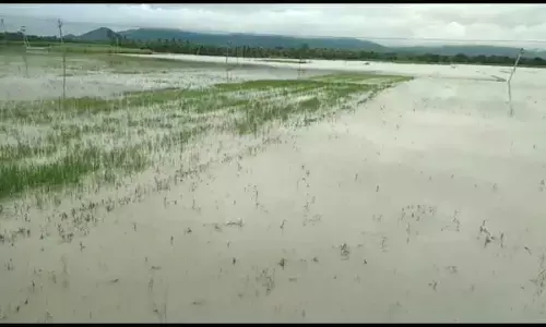 Poor maintenance of canals ups flood threat