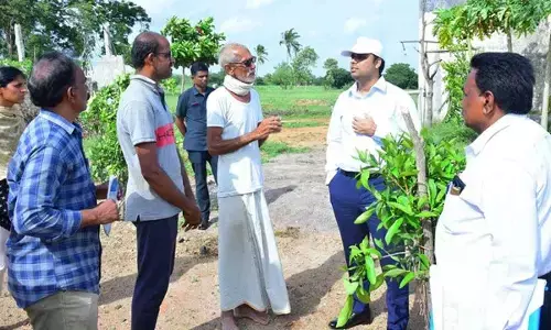 Avail govt subsidies, Collector tells farmers