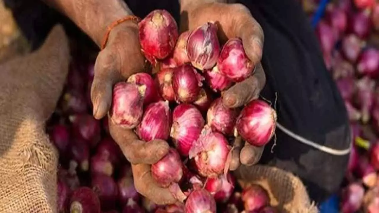 Onion sale at Rs 35/kg in Delhi-NCR