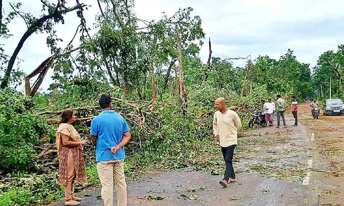 Ravaging tornado uproots over 1 lakh trees in Mulugu