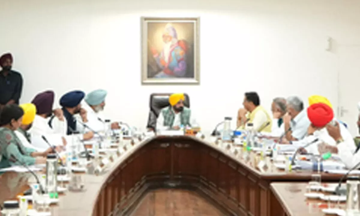 Punjab Cabinet gives nod to formulate new agriculture policy