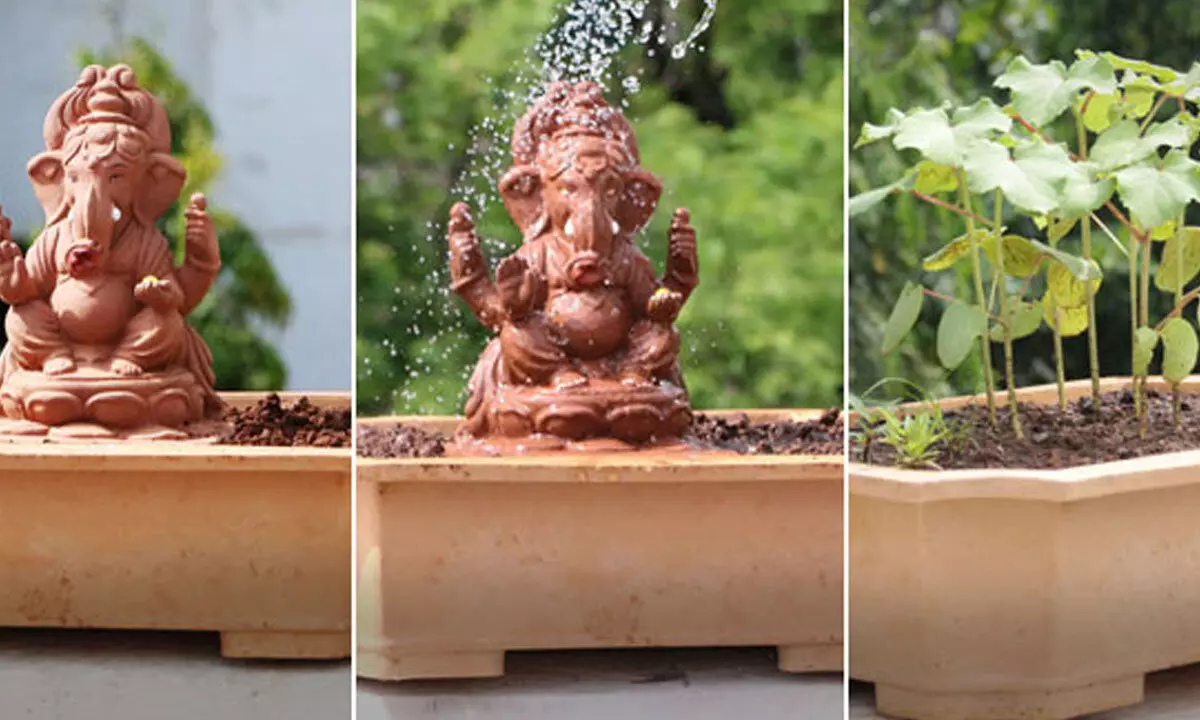 Seed Ganesha launched to promote eco-friendly festival