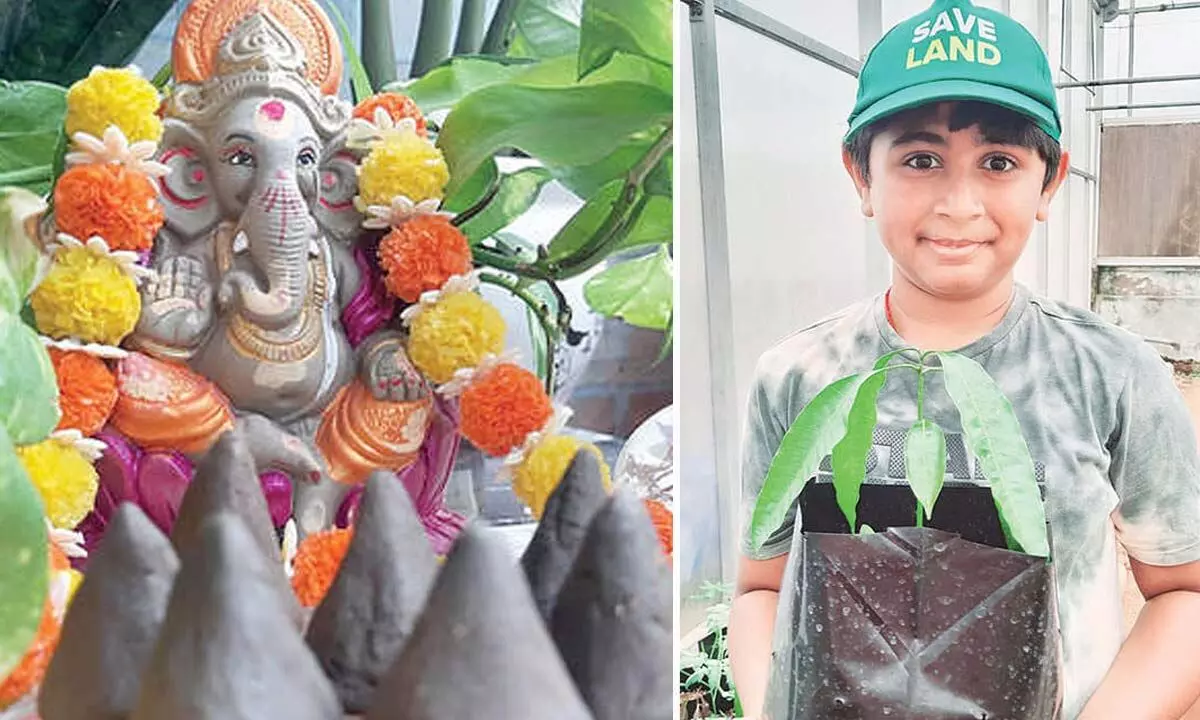 To boost green cover, boy has seed modak bee in his bonnet