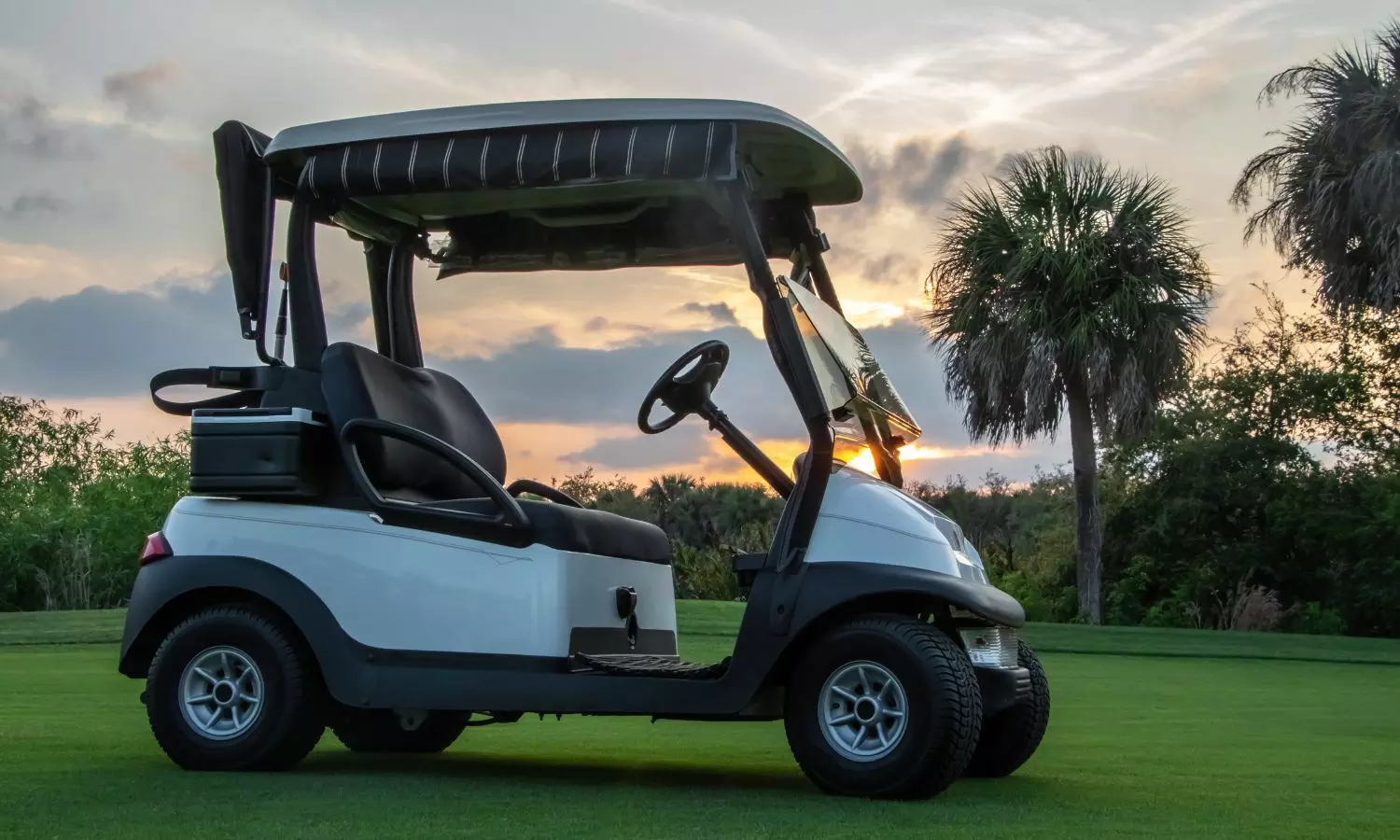 How E-Golf Carts are Revolutionizing Leisure and Commercial Spaces