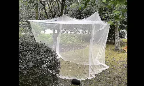 Anakapalli: 30,000 mosquito nets to be distributed