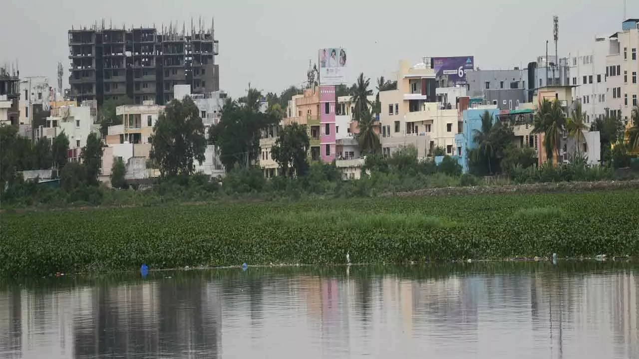 Land sharks gobble up Uppal lake; water quality turns worst