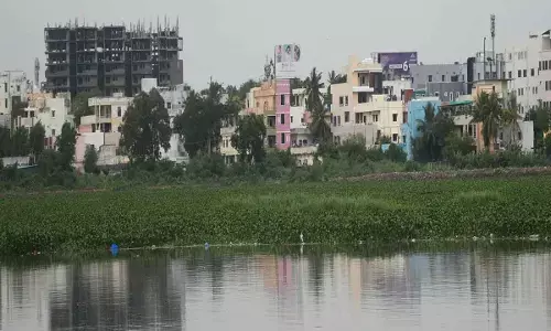 Land sharks gobble up Uppal lake; water quality turns worst