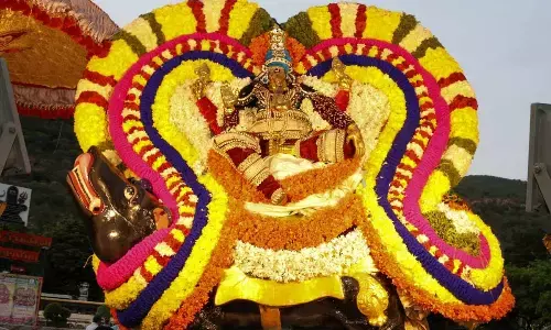 Vinayaka Chavithi in TTD temples