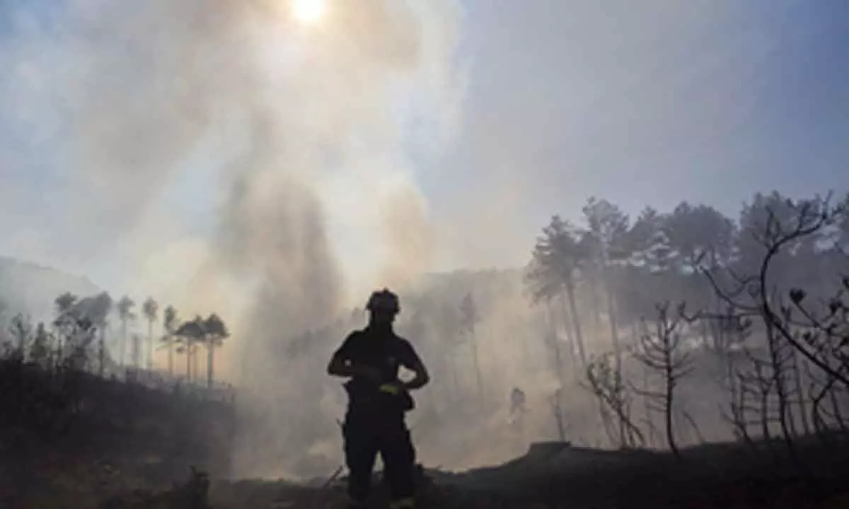 Bolivia declares national emergency over forest fires