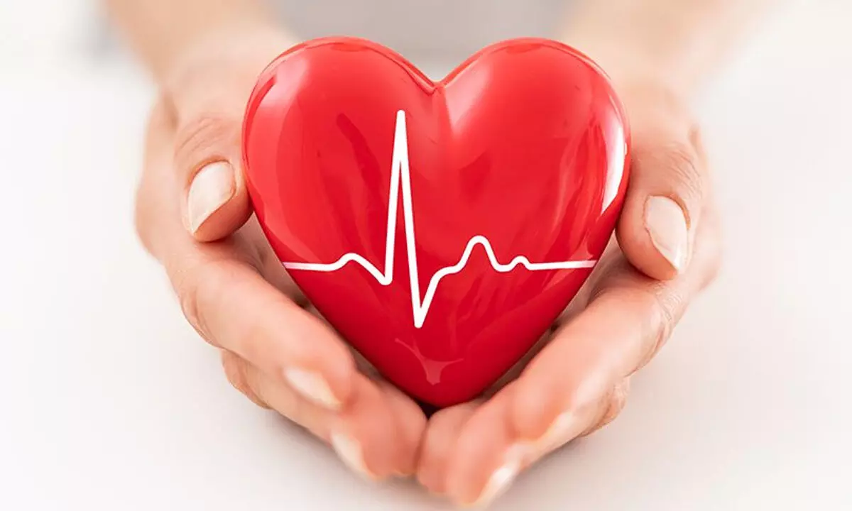 Heart-monitor to boost irregular heart rhythm diagnosis