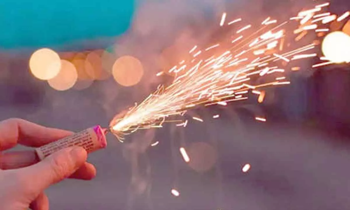 Govt bans making, sale of firecrackers till Jan 1