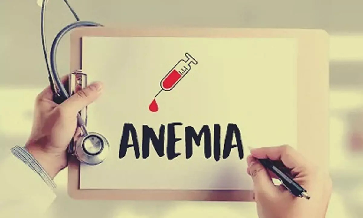 Study claims ‘Siddha’ drugs combination can reduce anaemia in girls