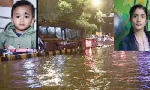 Misinfo spread about LG’s role, area under MCD: DDA