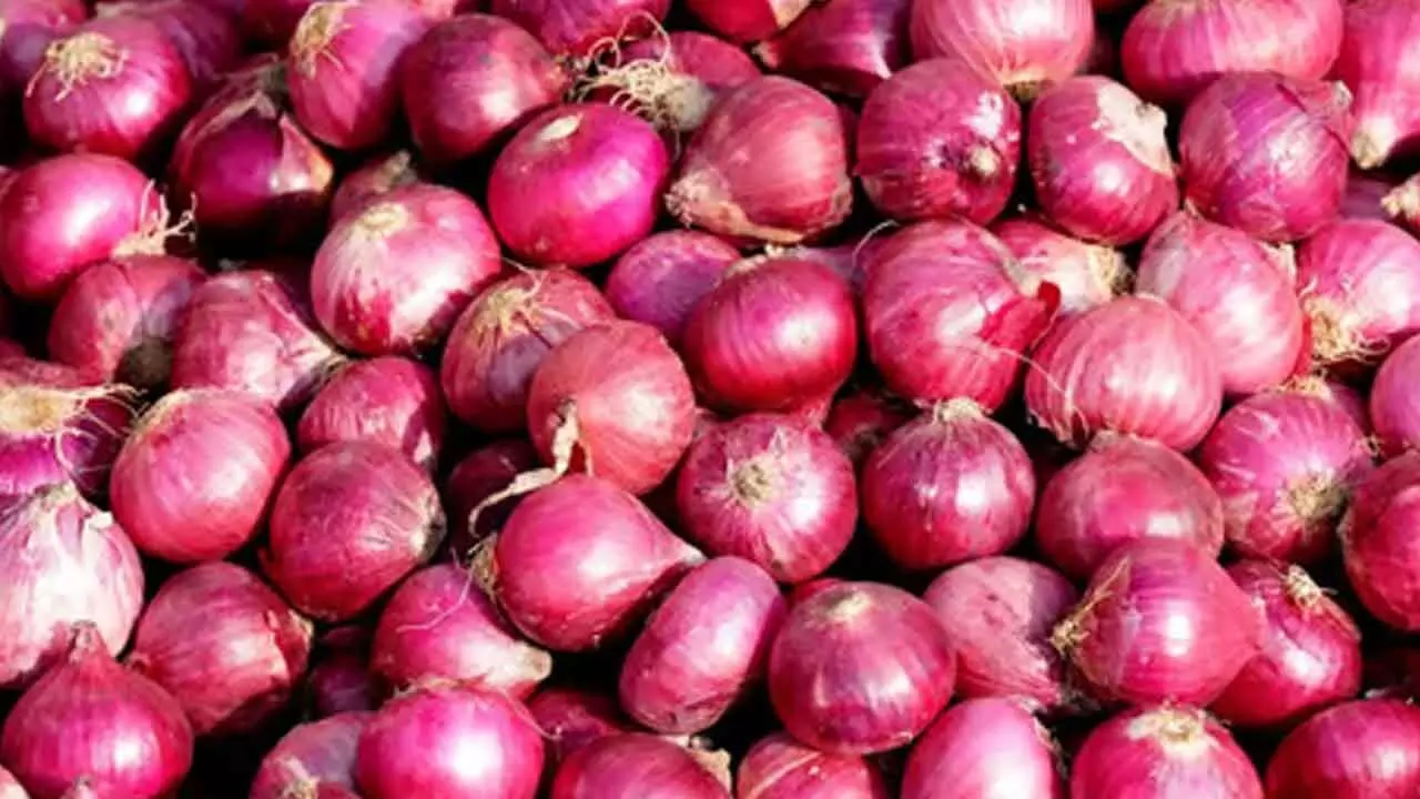 Onion prices at Rs 58/kg in Delhi