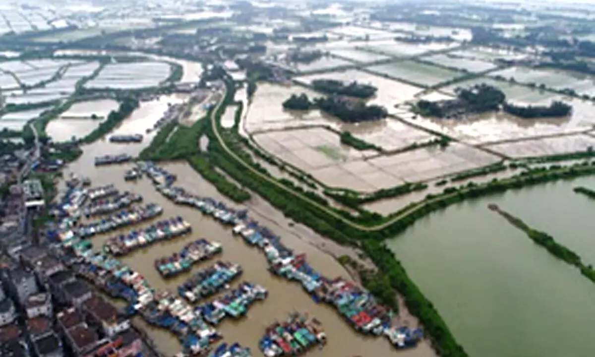 Typhoon Bebinca to approach Japanese islands over weekend: JMA