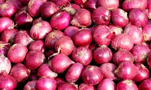Onion prices at Rs 58/kg in Delhi