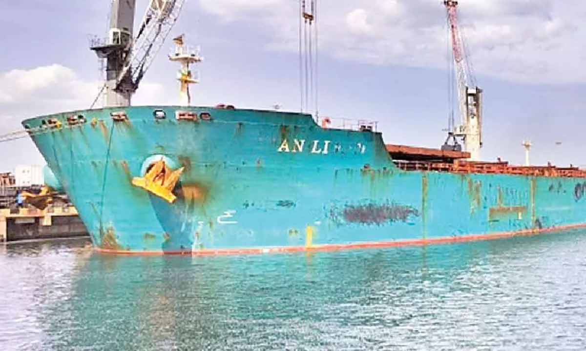 Huge ship from SA arrives at Krishnapatnam port