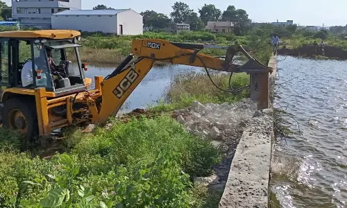 The hydra demolishes the wanapatiny