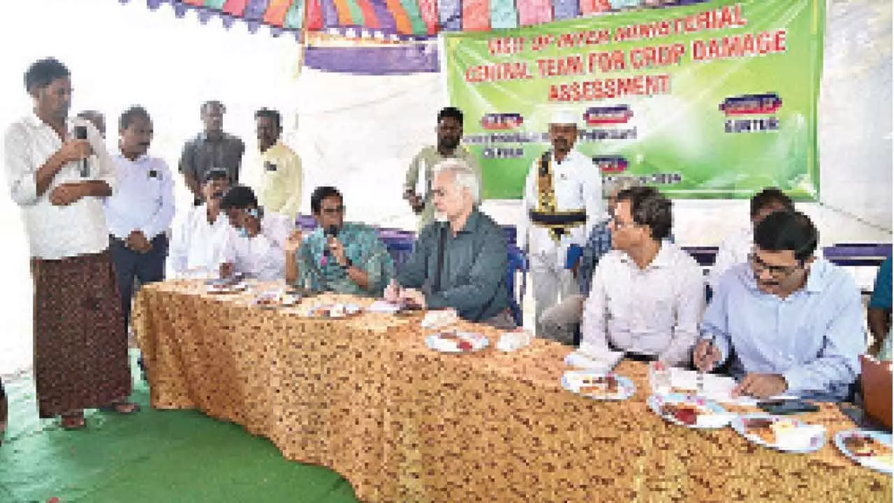 Collector S Nagalakshmi addressing the inter-ministerial Central team at Pedakakani on Thursday. Central team members Dr AL Waghmare, RB Kaul, Pradeep Kumar are also seen