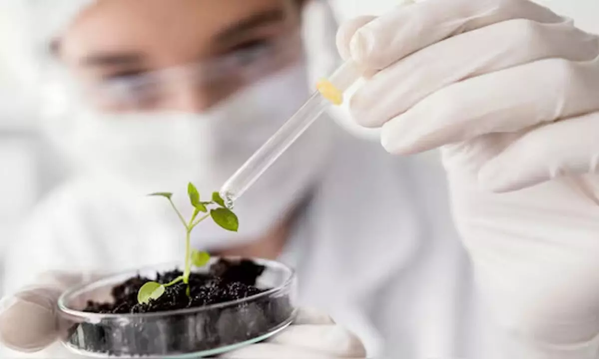 India among top-5 global bioeconomies