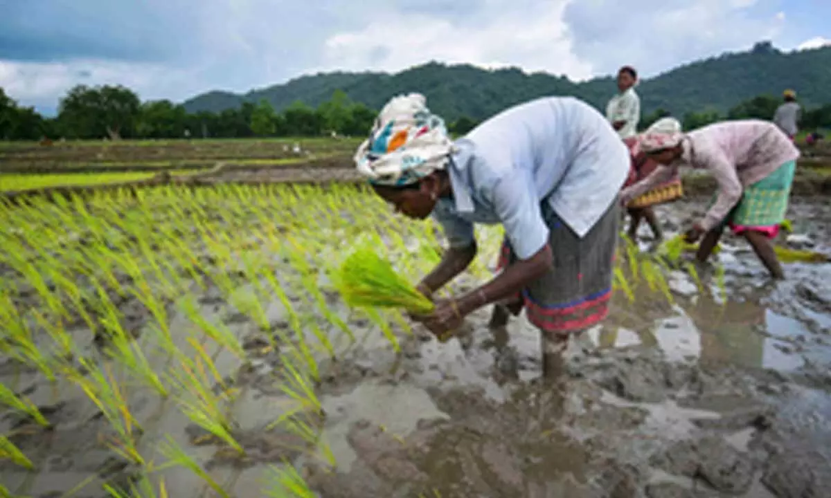 India implementing world’s largest food-based safety net programmes: Minister