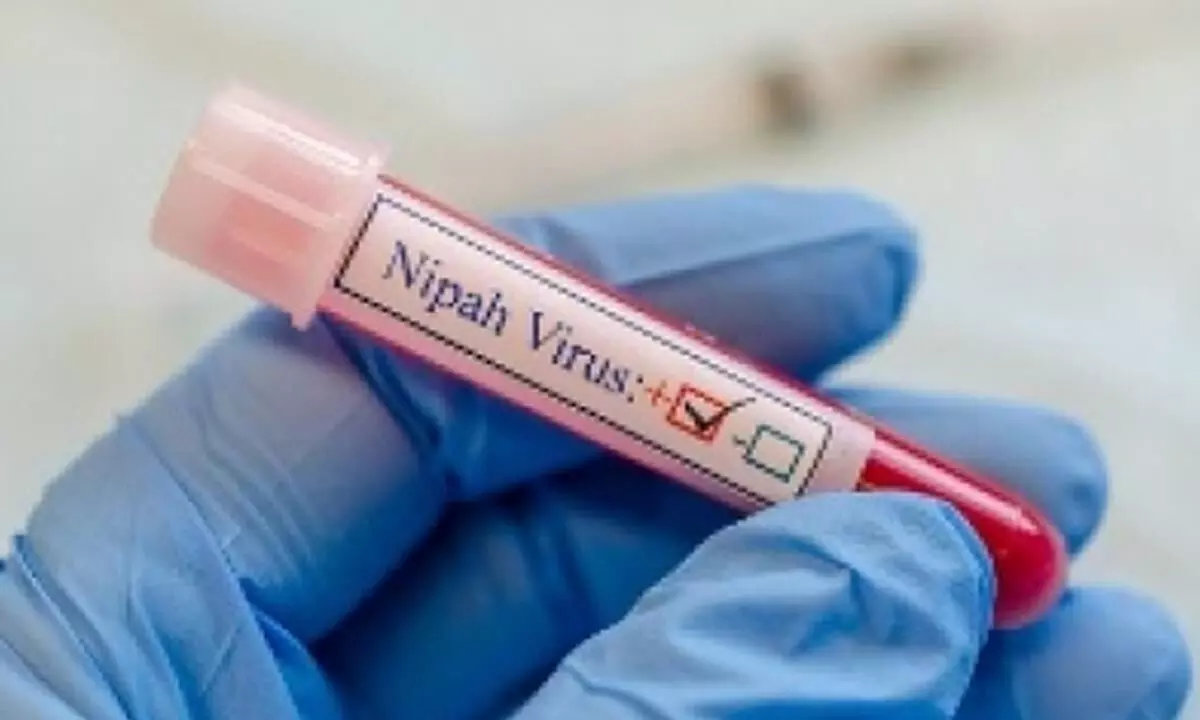 Nipah confirmed in deceased Kerala youth, 151 came into his contact