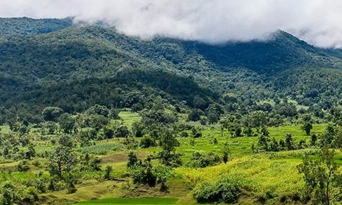 Berhampur University to study man-animal conflict in Eastern Ghats