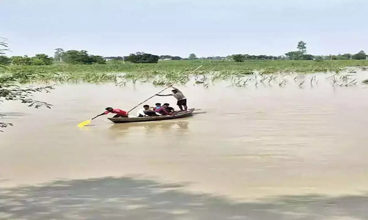 Man drowns while transporting goat to safety amid UP floods