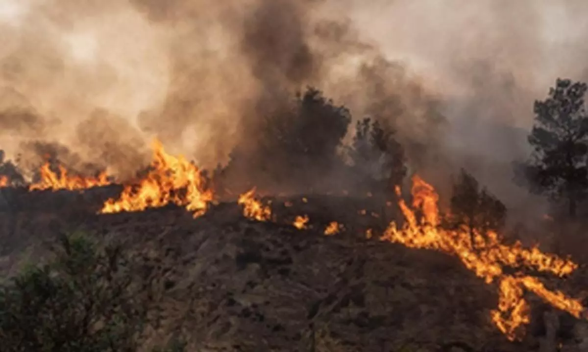 Wildfires kill 7 people in Portugal