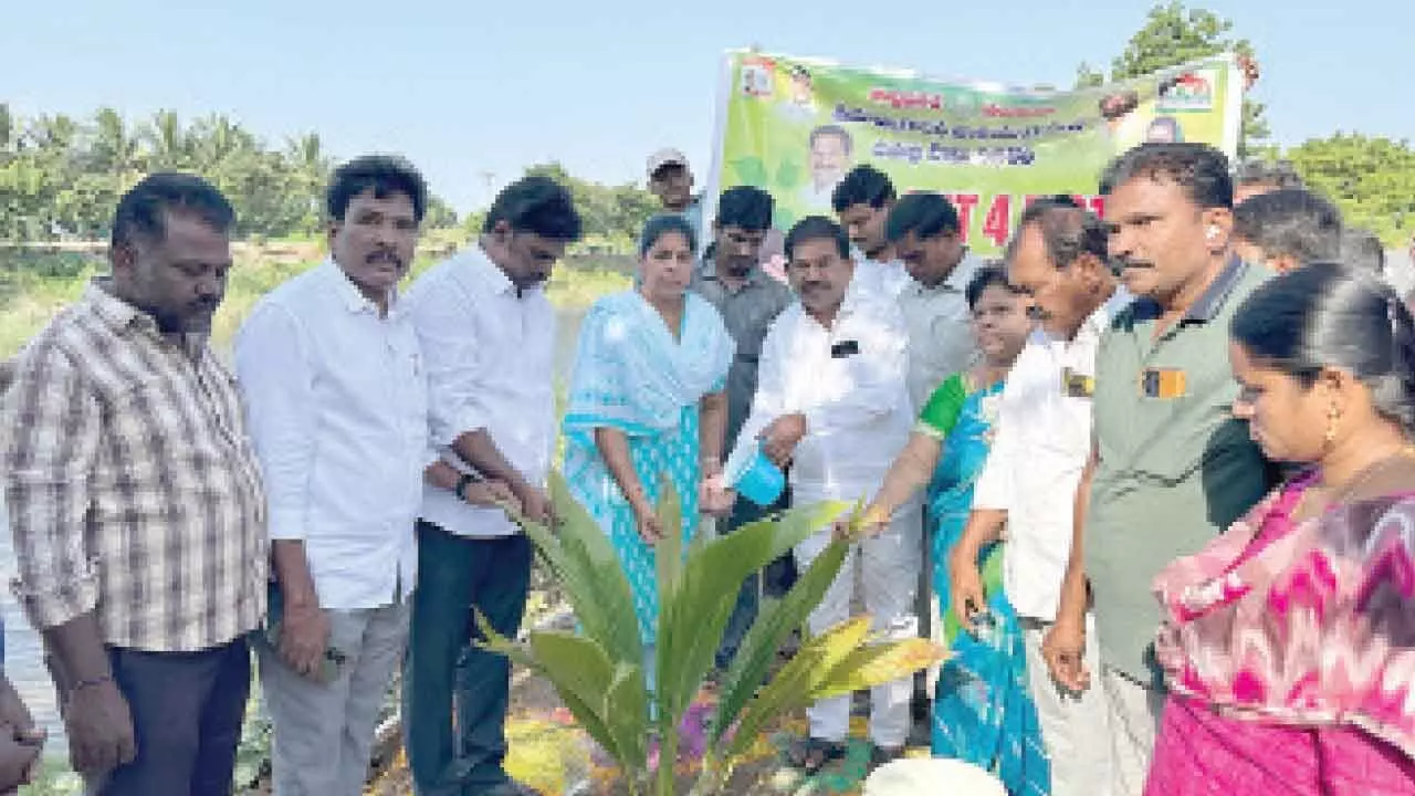 Minister Dola Sree Bala Veeranjaneya Swamy planting a sapling at Turpu Nayudupalem on Tuesday