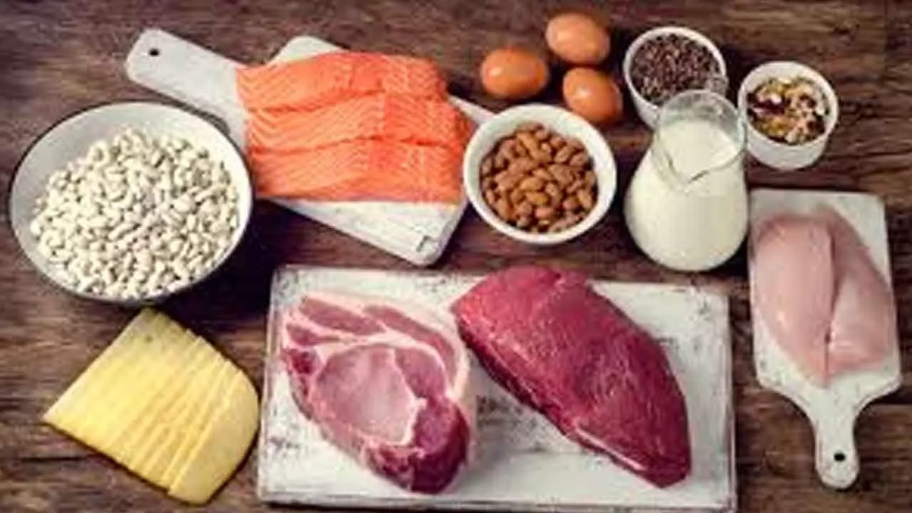 Add meat, milk proteins in your diet to ward off gut tumours