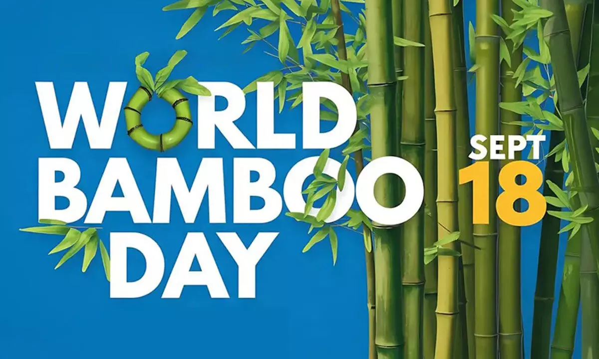 World Bamboo Day 2024: Elevate Your Style with Sustainable Fashion