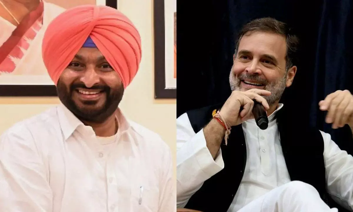 Delhi Congress leader Sandeep Dixit has termed Ravneet Bittus statement against Rahul Gandhi as disgusting