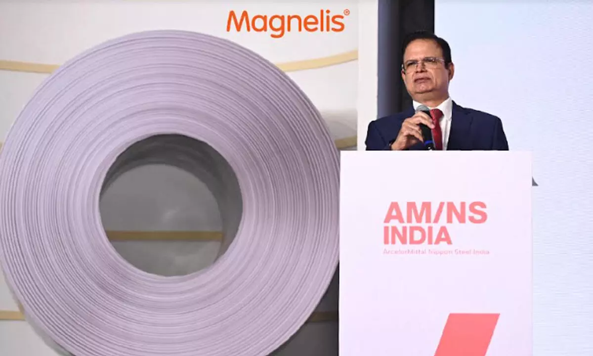 AM/NS India launches Magnelis® -- unique import substitute to power Indias renewable energy transition