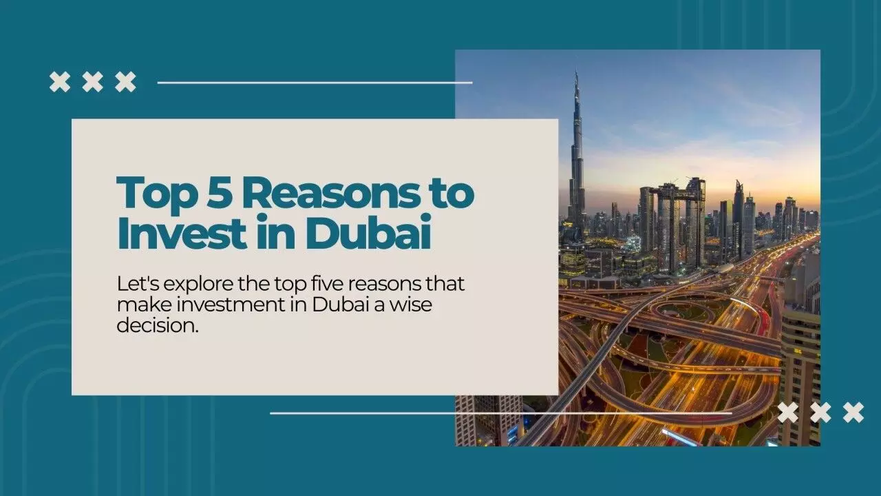 What Makes Dubai a Leading Hub for Expat Investors?