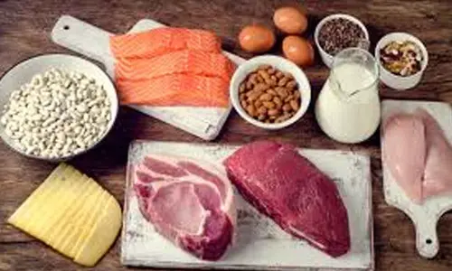 Add meat, milk proteins in your diet to ward off gut tumours
