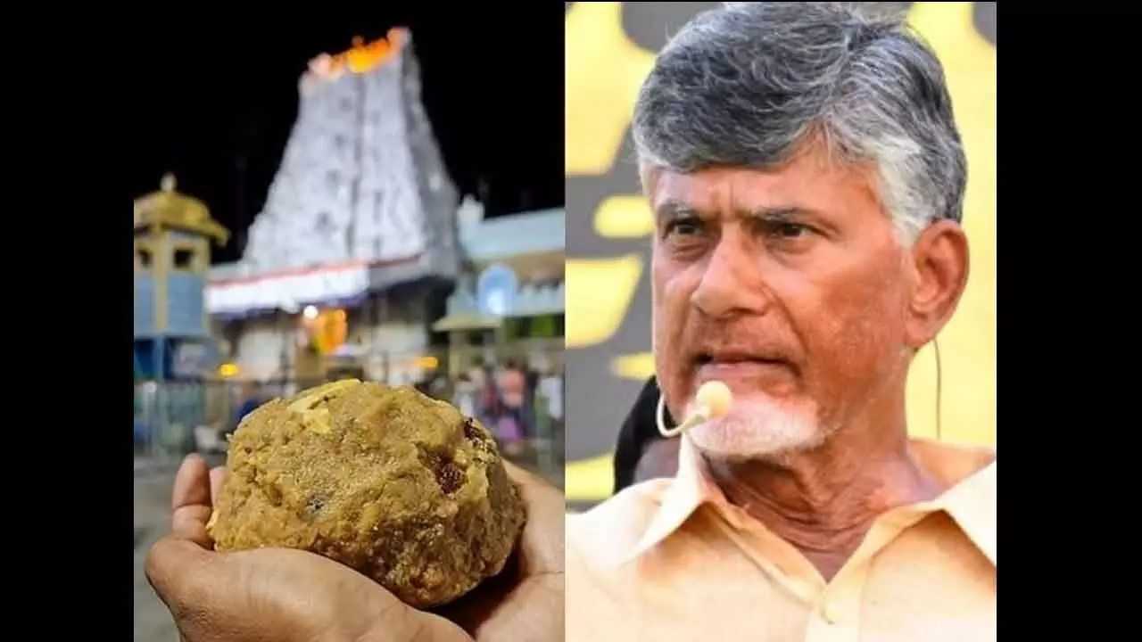 Tirumala laddu adulteration blows into big row