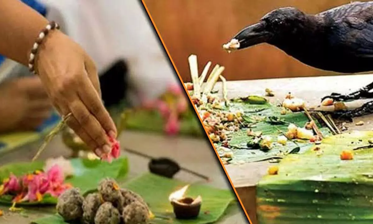 Pitru Paksha 2024: 7 Auspicious Signs That Show Ancestors Are Pleased