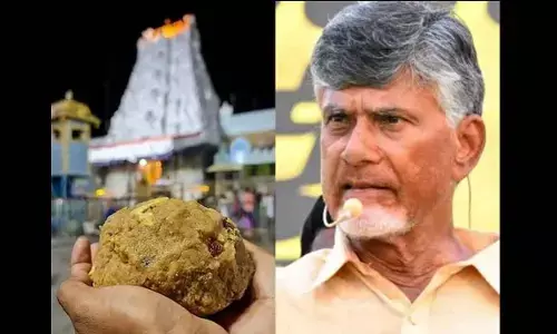 Tirumala laddu adulteration blows into big row