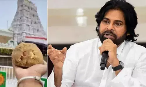 Pawan responds over allegations on Tirupati laddu, mulls for national body to oversee temples